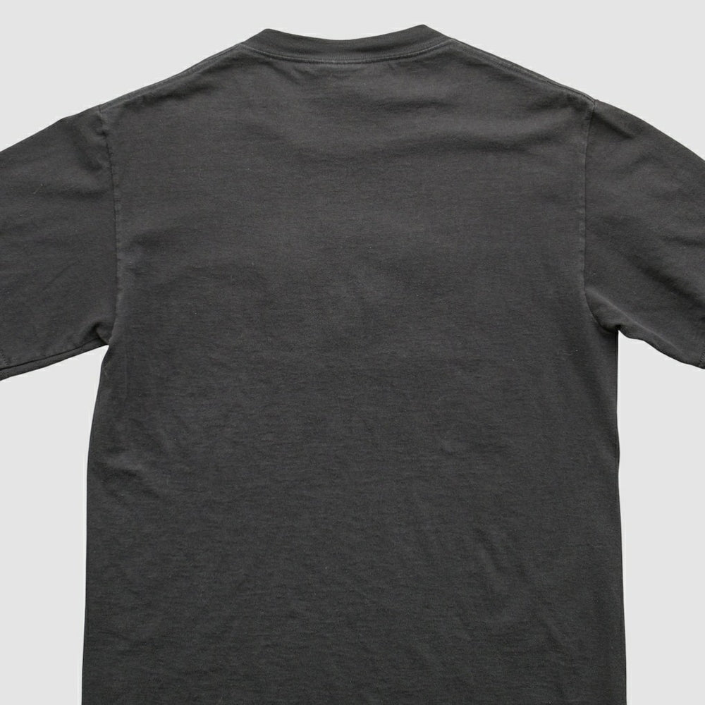 Pittsburgh Steelers Lee Apparel 90s T-Shirt Black Vintage