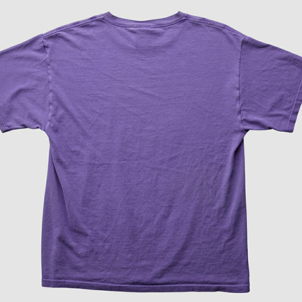 Minnesota Vikings 2007 T-Shirt Purple Vintage
