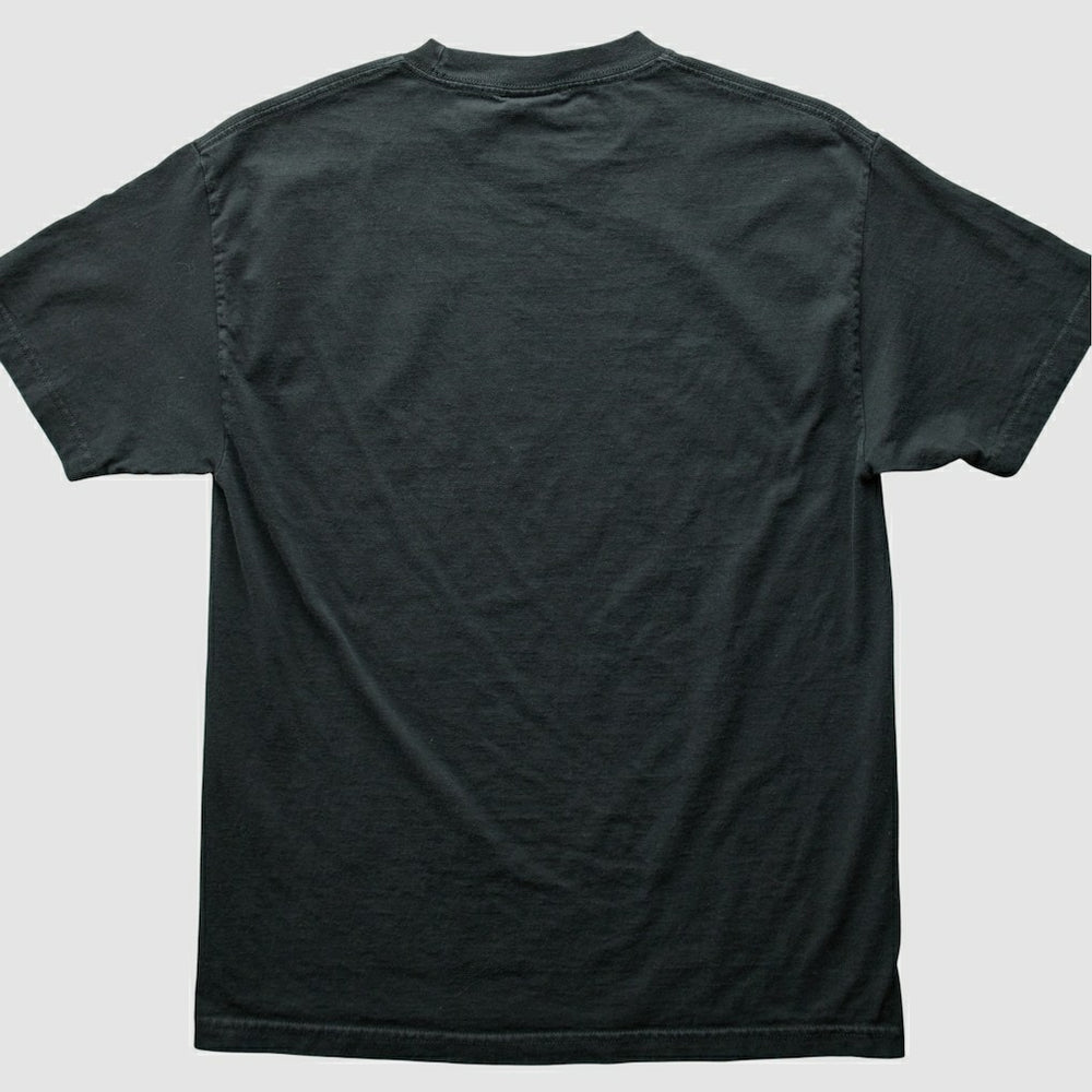 Pittsburgh Steelers NFL 2000s T-Shirt Black Vintage