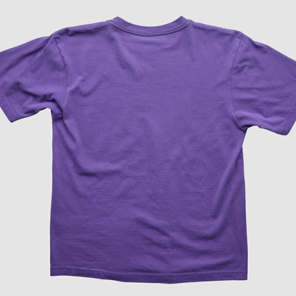 Minnesota Vikings 2000s T-Shirt Purple Vintage