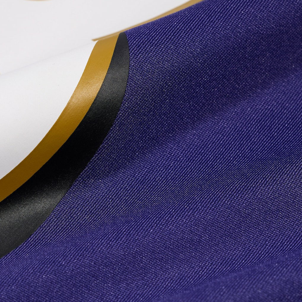 Carson Vinson Baltimore Ravens Team Game Jersey Purple