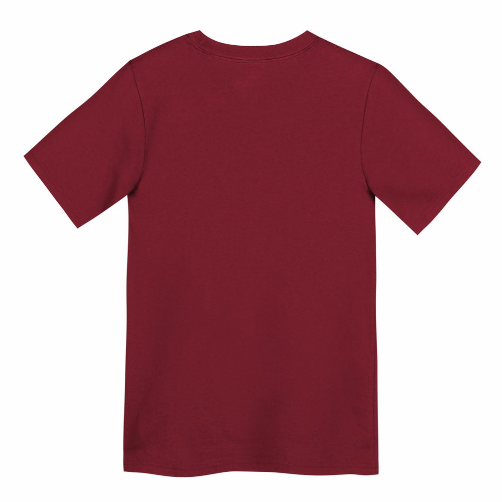 Tampa Bay Buccaneers Preschool Icon Legend Dri-FIT T-Shirt Red