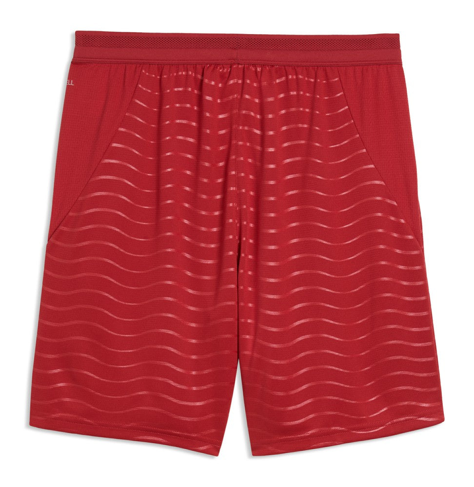 Portugal National Team 2026 Replica Shorts Red