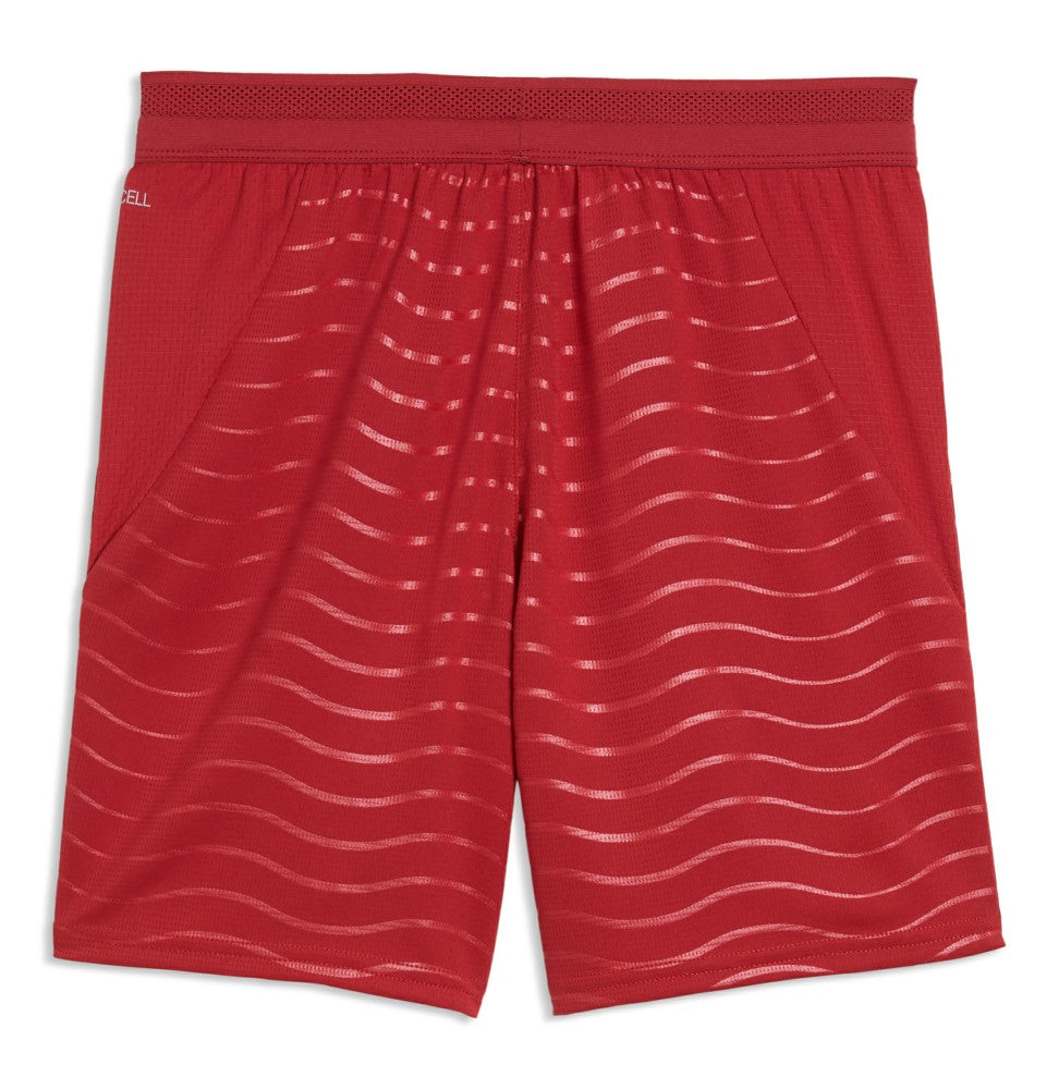 Portugal National Team Youth 2026 Replica Shorts Red
