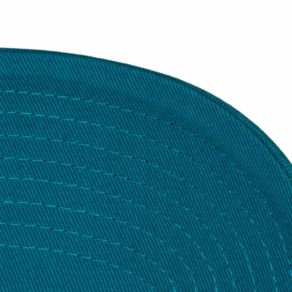 Charlotte Hornets Hardwood Classics 1904 Adjustable Hat Teal
