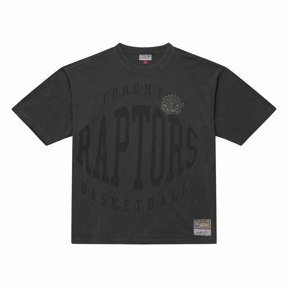 Toronto Raptors Downtown Collection Premium T-Shirt Black
