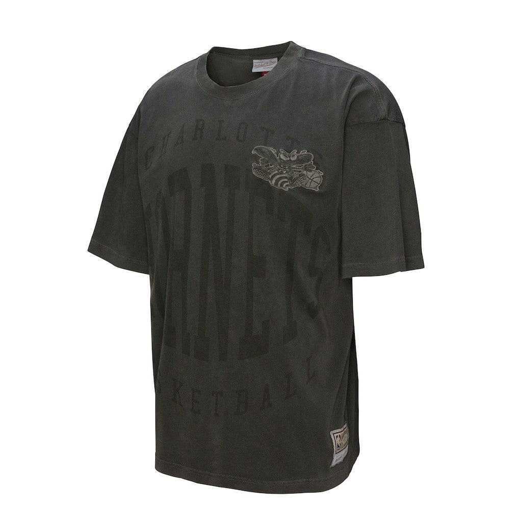 Charlotte Hornets Downtown Collection Premium T-Shirt Black