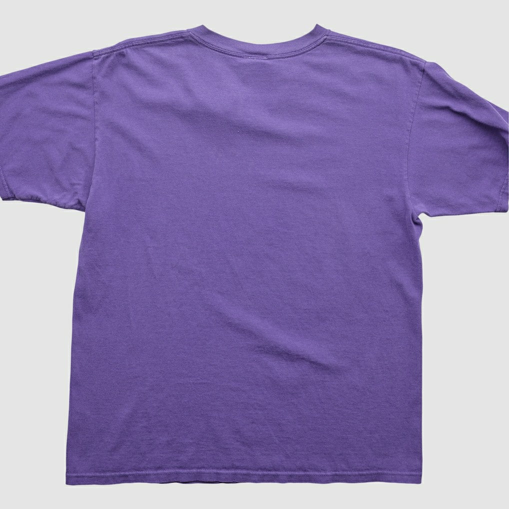 Minnesota Vikings NFL 2000s T-Shirt Purple Vintage