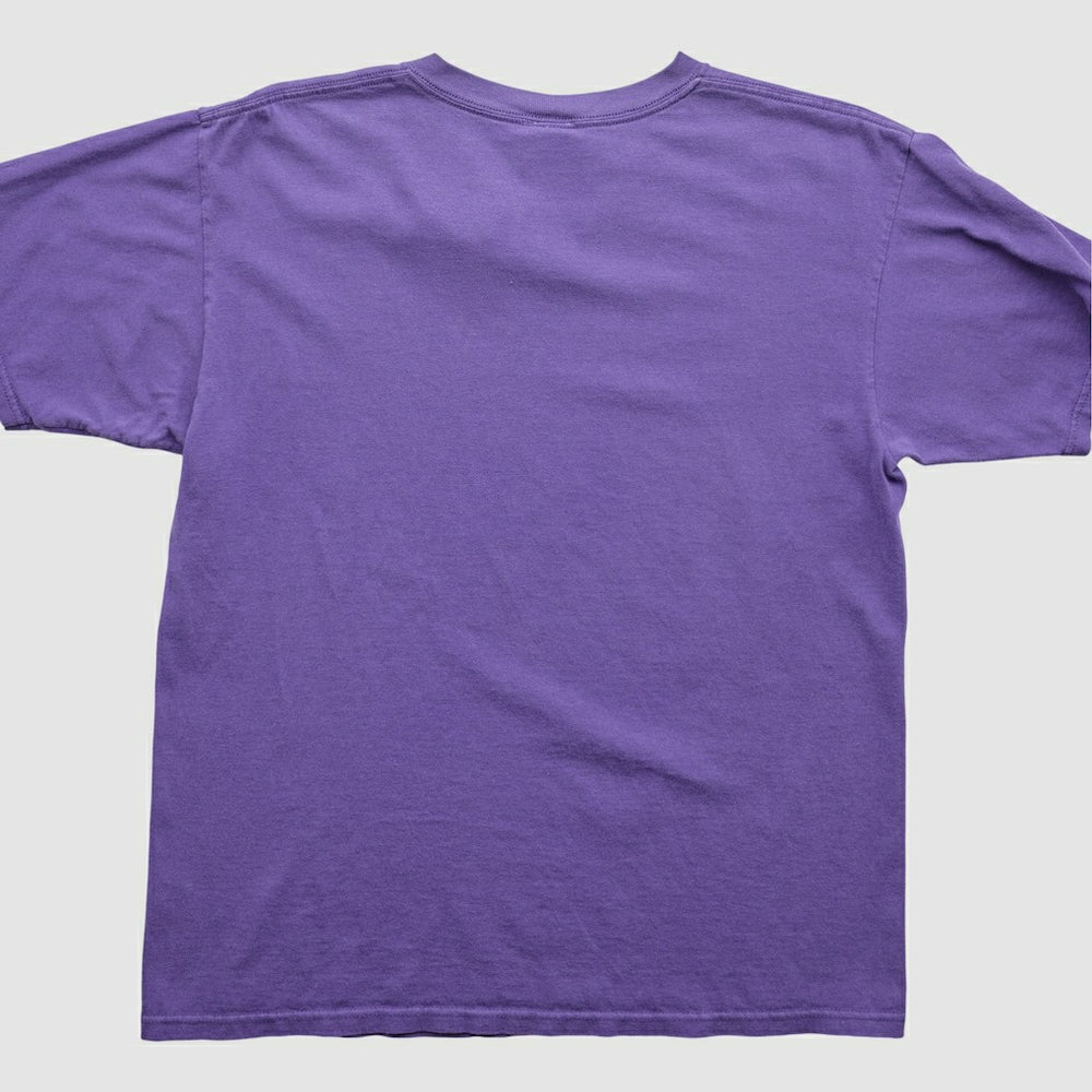 Minnesota Vikings NFL 2000s T-Shirt Purple Vintage