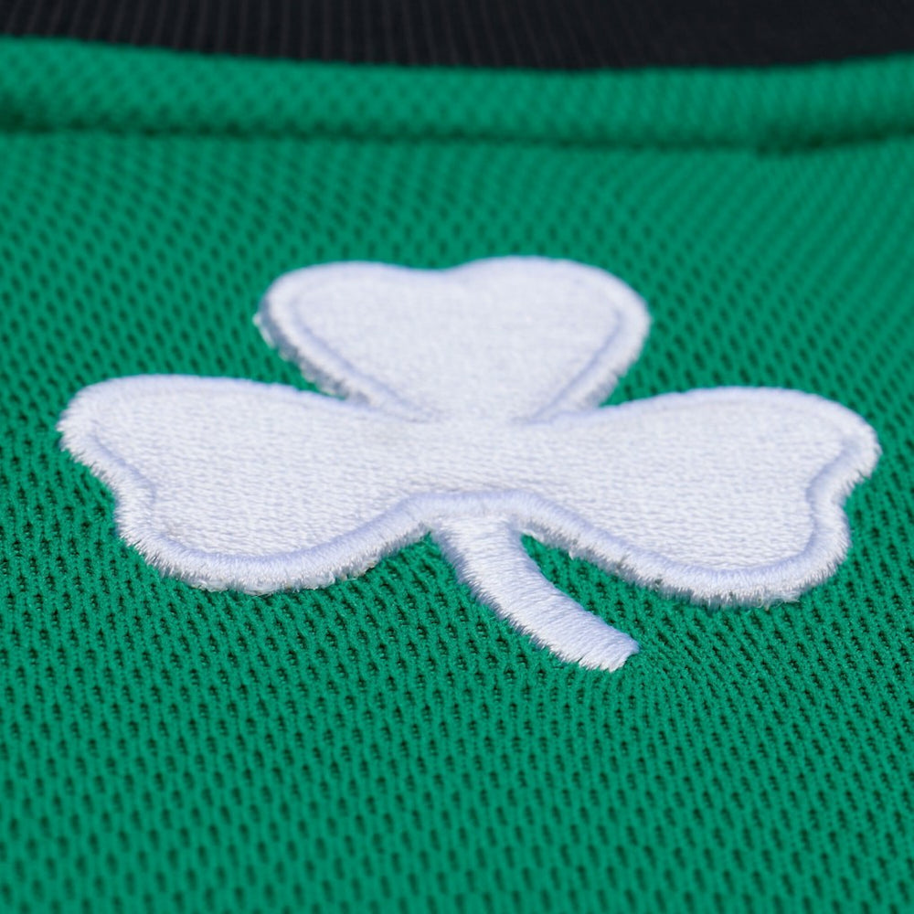 Ray Allen Boston Celtics 2007-08 Hardwood Classics Authentic Jersey Kelly Green