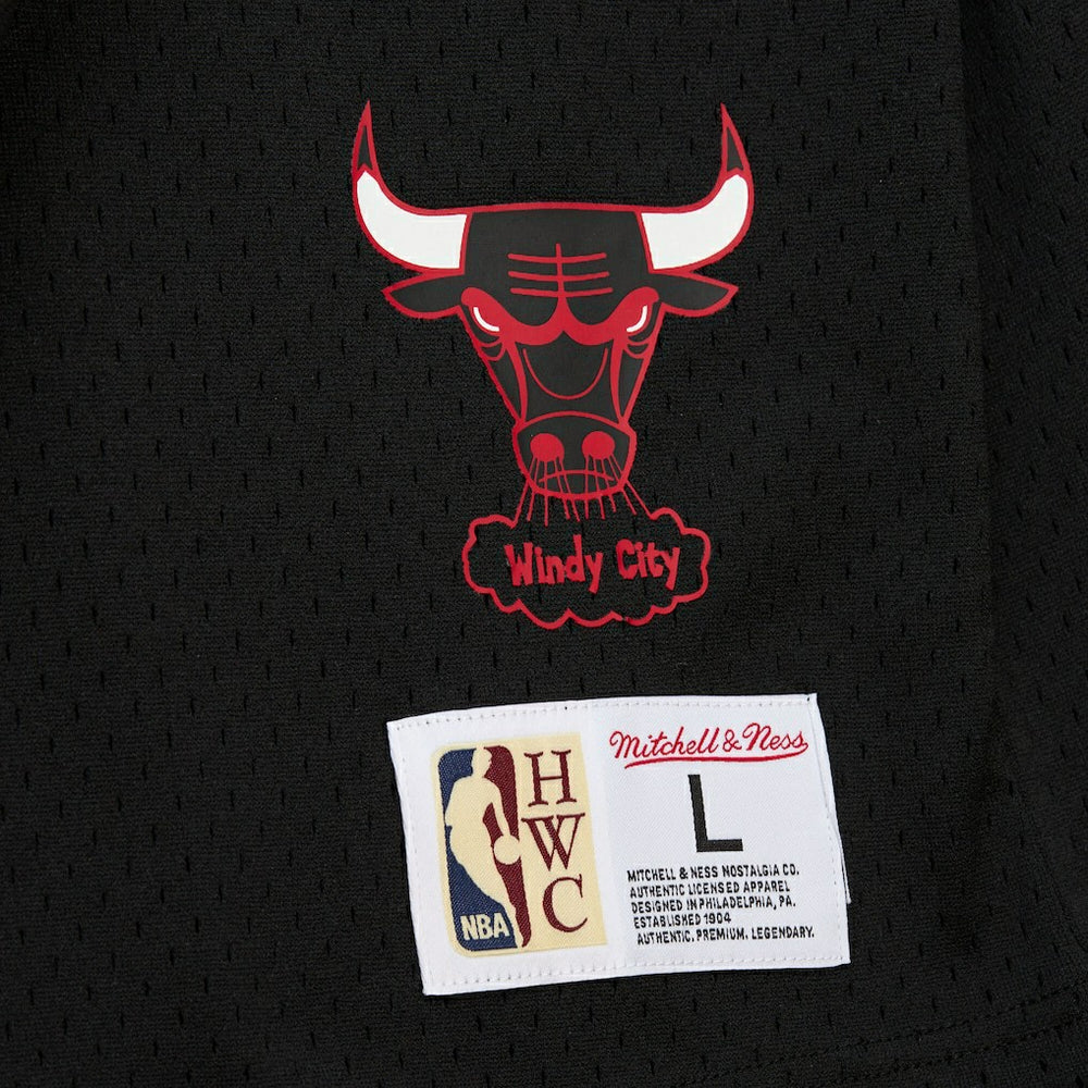Dennis Rodman Chicago Bulls Mesh Name & Number Short Sleeve Hoodie Black