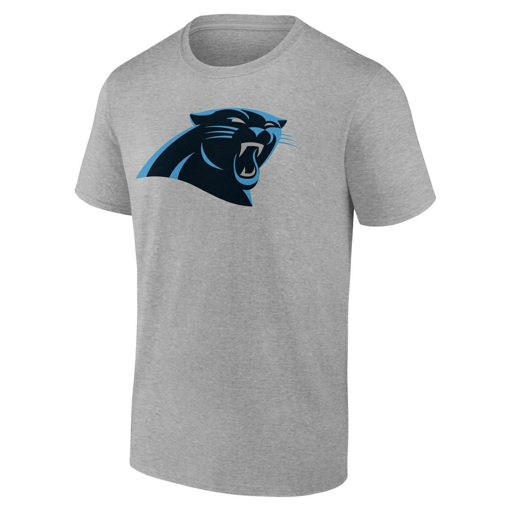Carolina Panthers Team Authentic Personalized Name & Number T-Shirt Gray