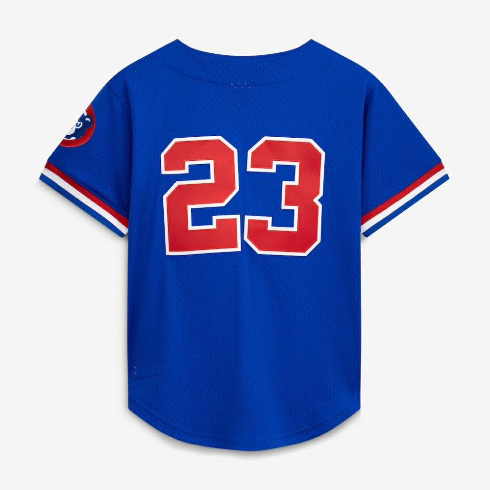 Ryne Sandberg Chicago Cubs Mitchell & Ness Cooperstown Collection 1996 Mesh Batting Practice Button-Up Jersey - Royal Jerseys