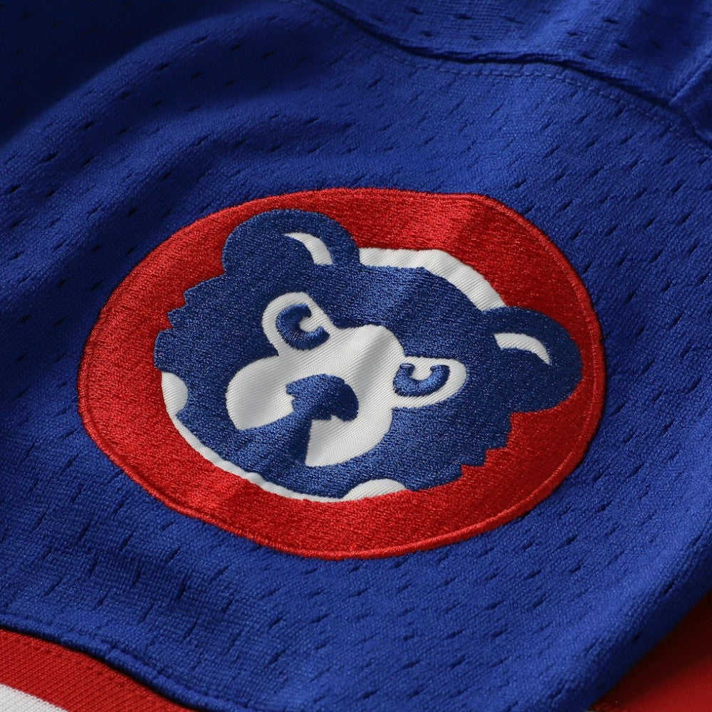Ryne Sandberg Chicago Cubs Mitchell & Ness Cooperstown Collection 1996 Mesh Batting Practice Button-Up Jersey - Royal Jerseys