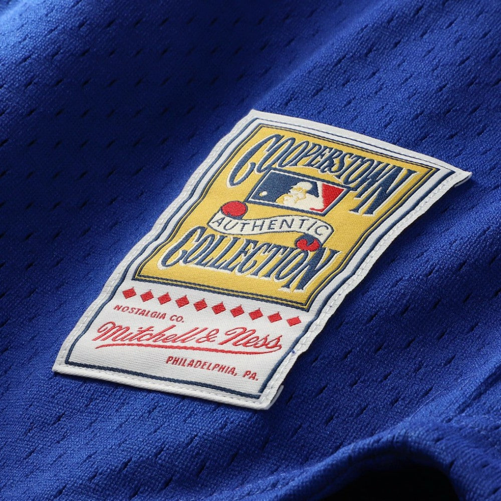 Ryne Sandberg Chicago Cubs Mitchell & Ness Cooperstown Collection 1996 Mesh Batting Practice Button-Up Jersey - Royal Jerseys