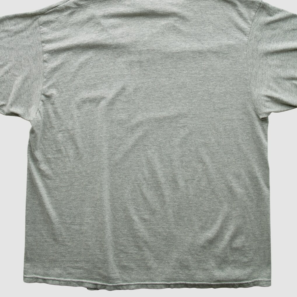 Indianapolis Colts Champion 2000s T-shirt Heather Gray Vintage