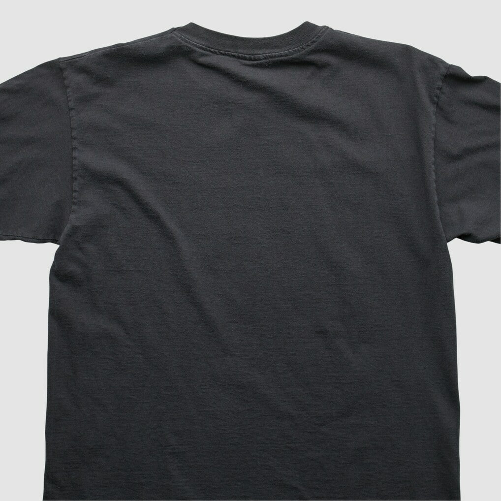 Pittsburgh Steelers Champion 1996 T-shirt Black Vintage