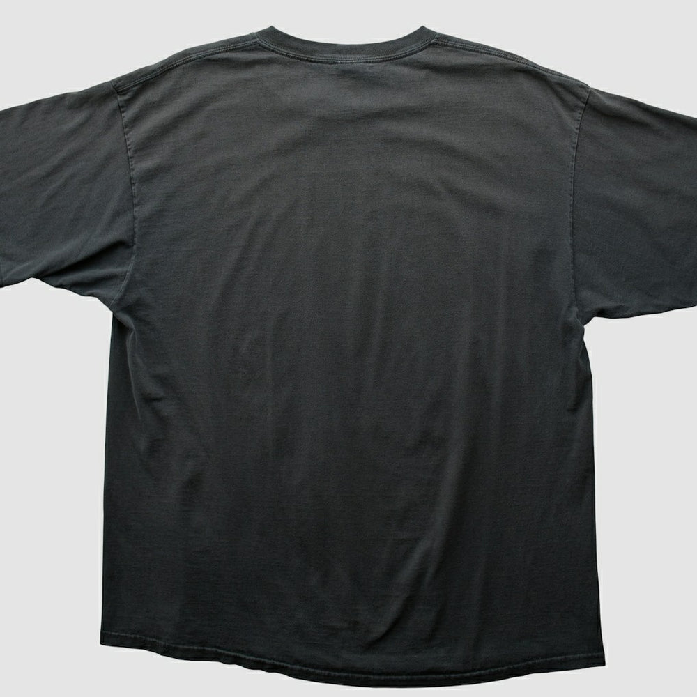 Pittsburgh Steelers NFL 2000s T-shirt Black Vintage