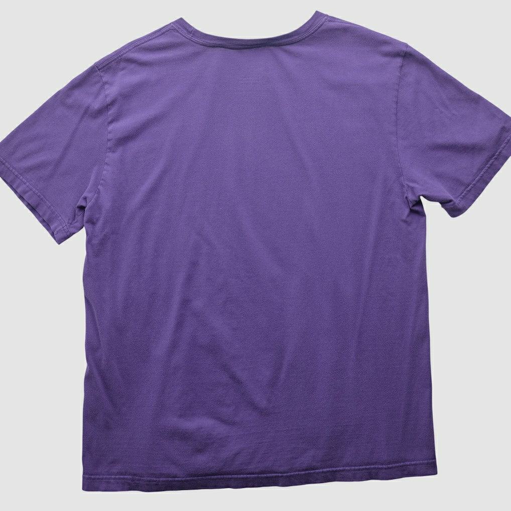 Minnesota Vikings 2010s T-shirt Purple Vintage