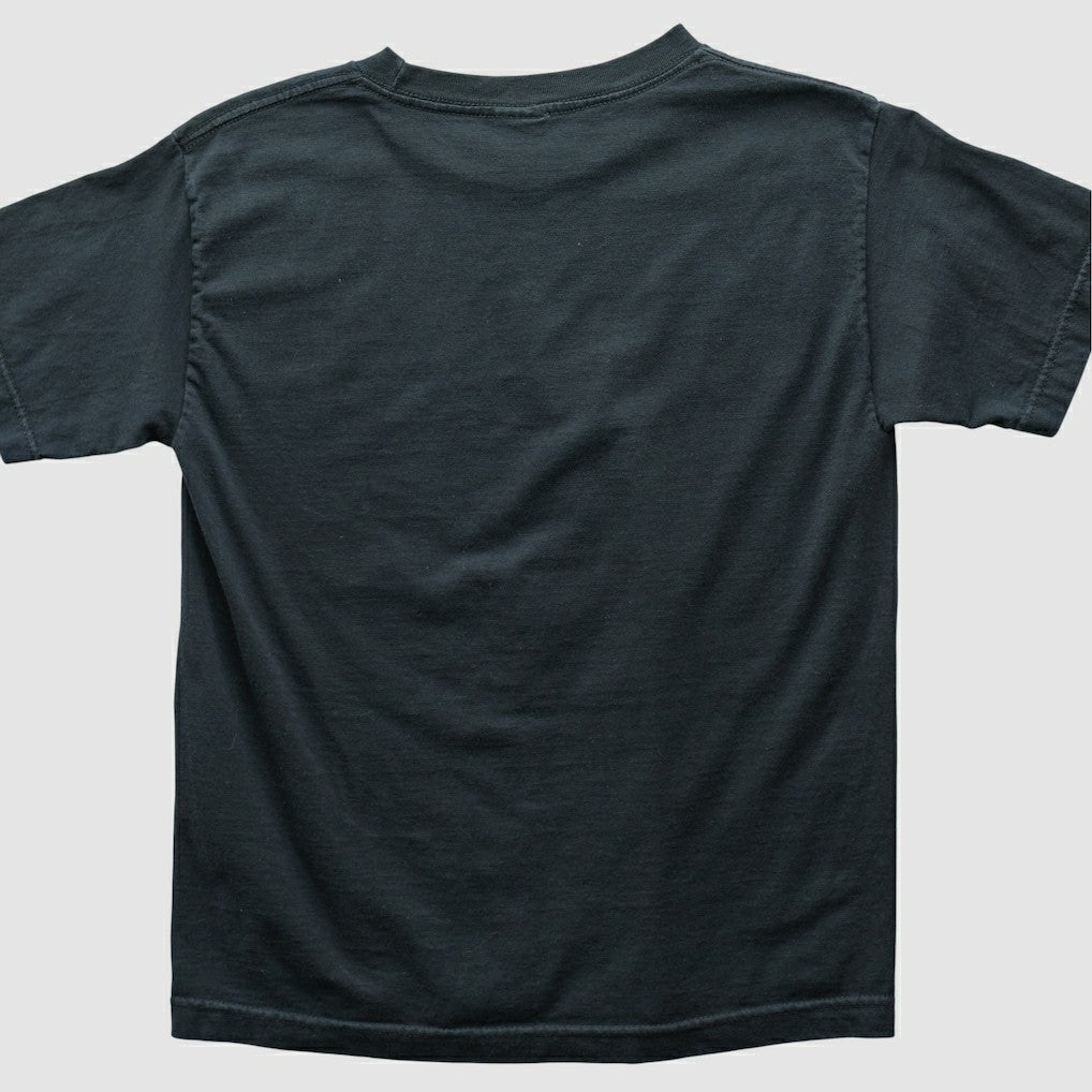 Philadelphia Eagles Alstyle 2004 T-shirt Black Vintage