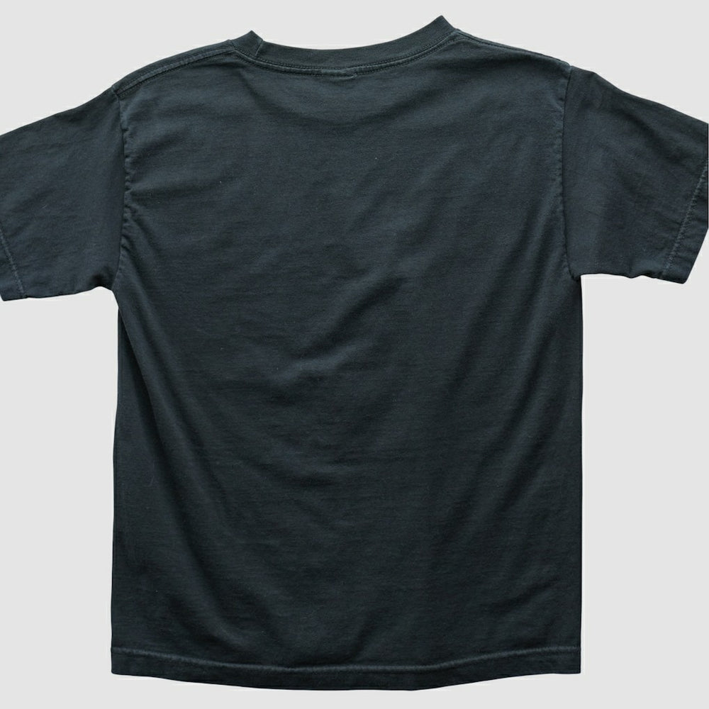 Philadelphia Eagles Alstyle 2004 T-shirt Black Vintage