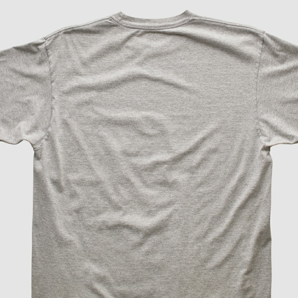 Pittsburgh Steelers Reebok 2006 T-shirt Heather Gray Vintage