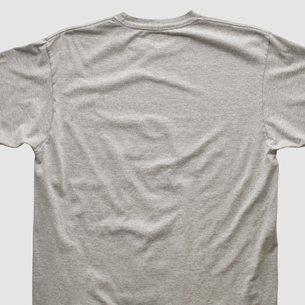 Pittsburgh Steelers Reebok 2006 T-shirt Heather Gray Vintage