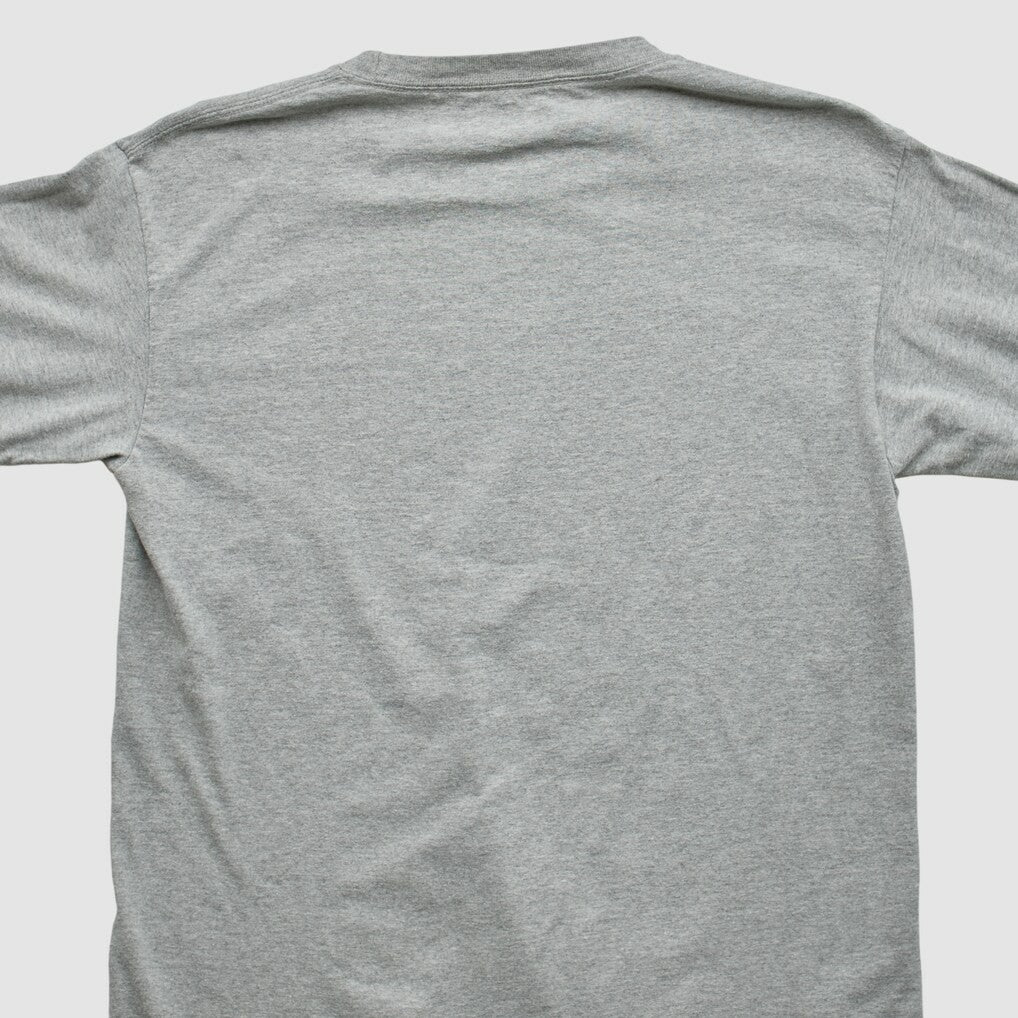 Green Bay Packers NFL 2010 Long Sleeve T-shirt Heather Gray Vintage