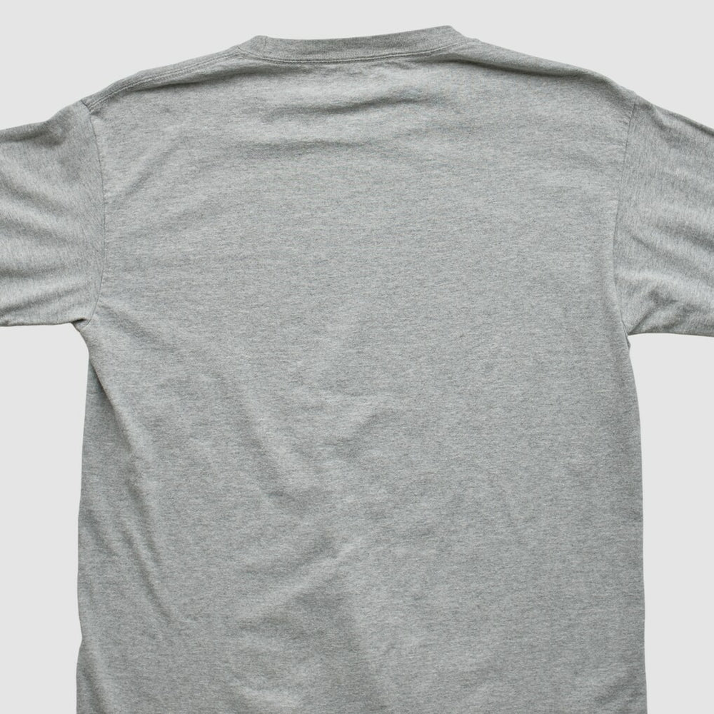 Green Bay Packers NFL 2010 Long Sleeve T-shirt Heather Gray Vintage