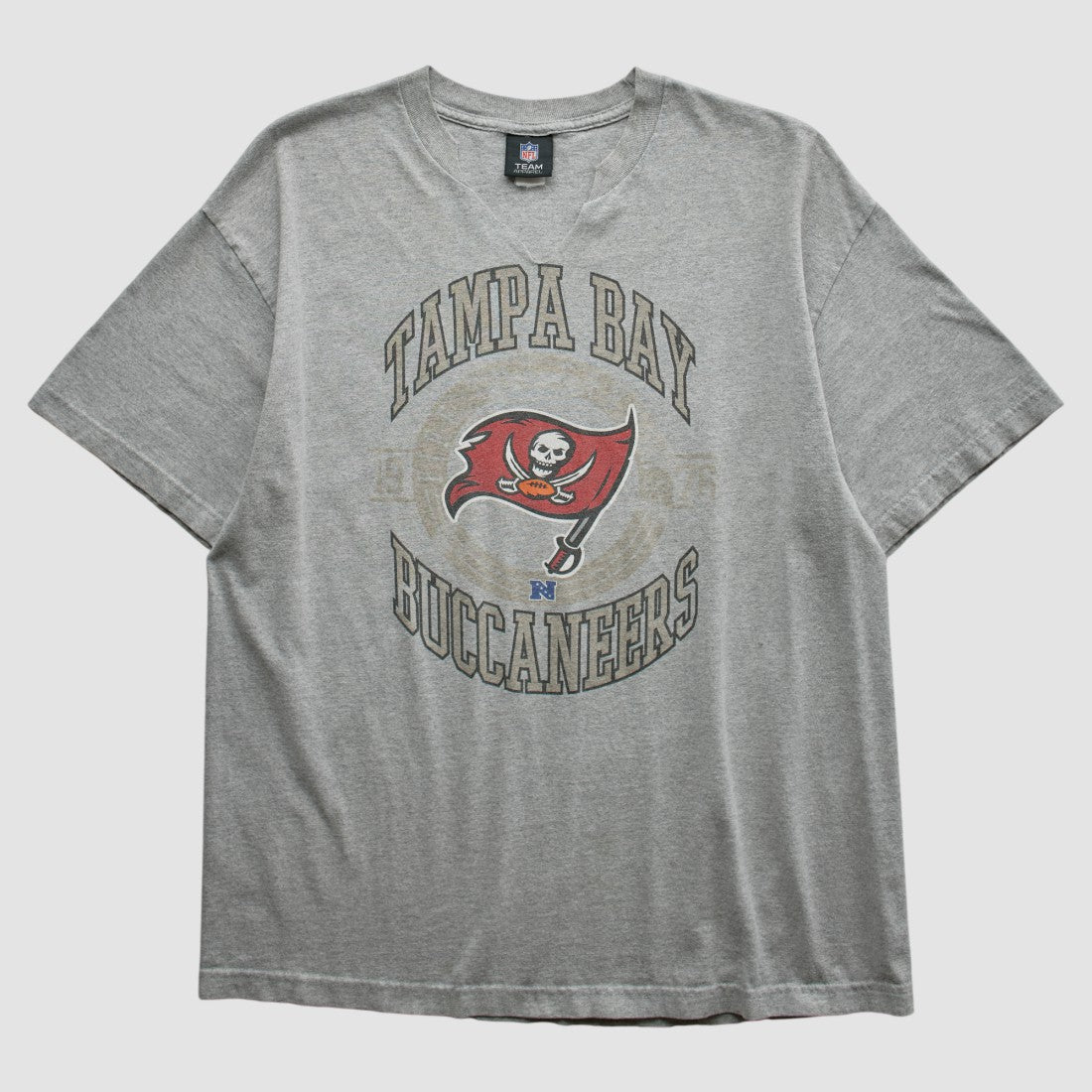Tampa Bay Buccaneers Team Edition Apparel 2010s T-shirt Heather Gray Vintage