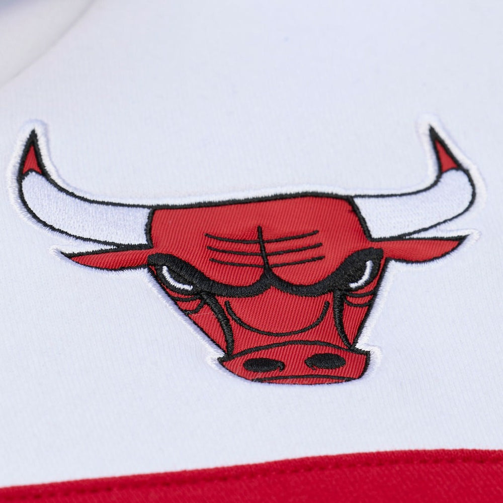 Chicago Bulls Head Coach Hoodie Black
