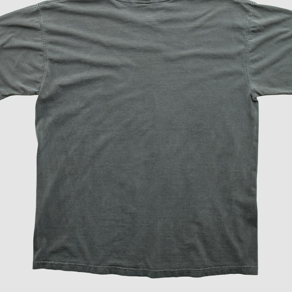 Cleveland Browns NFL Pro Line 2010s T-shirt Charcoal Vintage