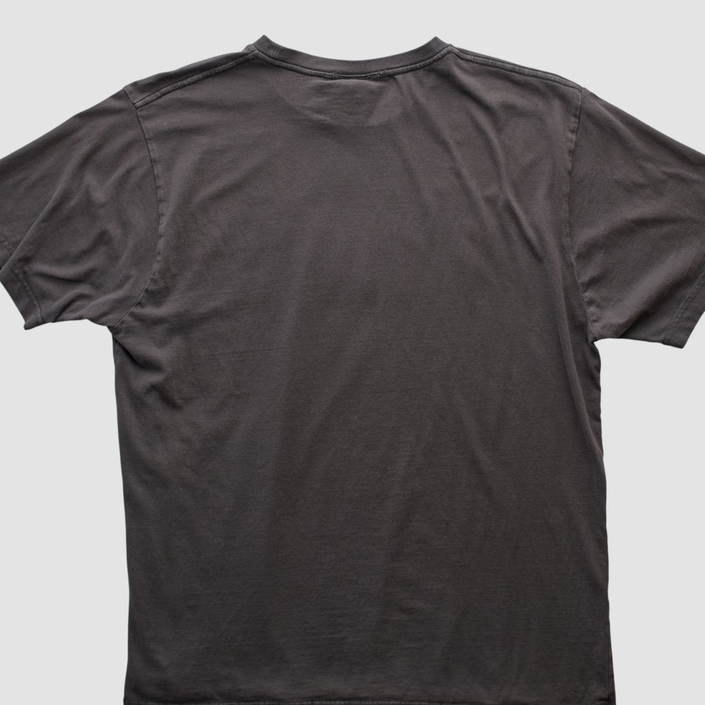 Detroit Lions Team Edition Apparel 2010s T-shirt Charcoal Vintage