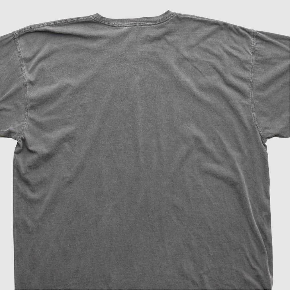 Cleveland Browns NFL 2010s T-shirt Charcoal Vintage