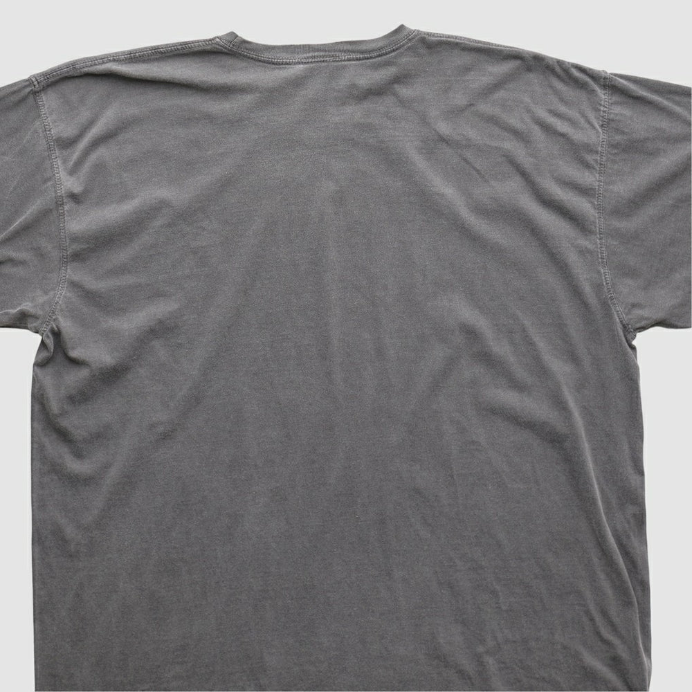 Cleveland Browns NFL 2010s T-shirt Charcoal Vintage