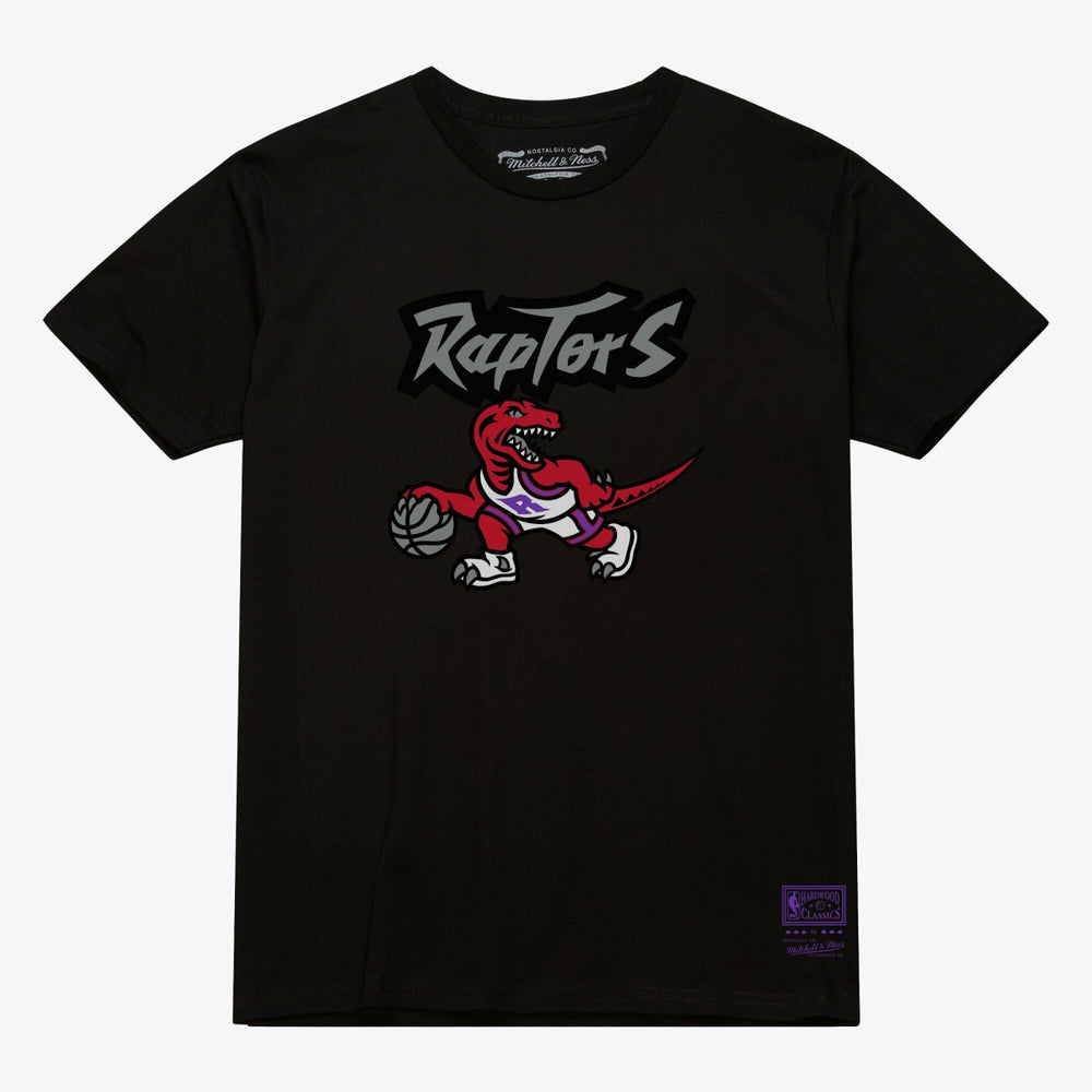 Toronto Raptors Unisex Hardwood Classics Arch T-Shirt Black