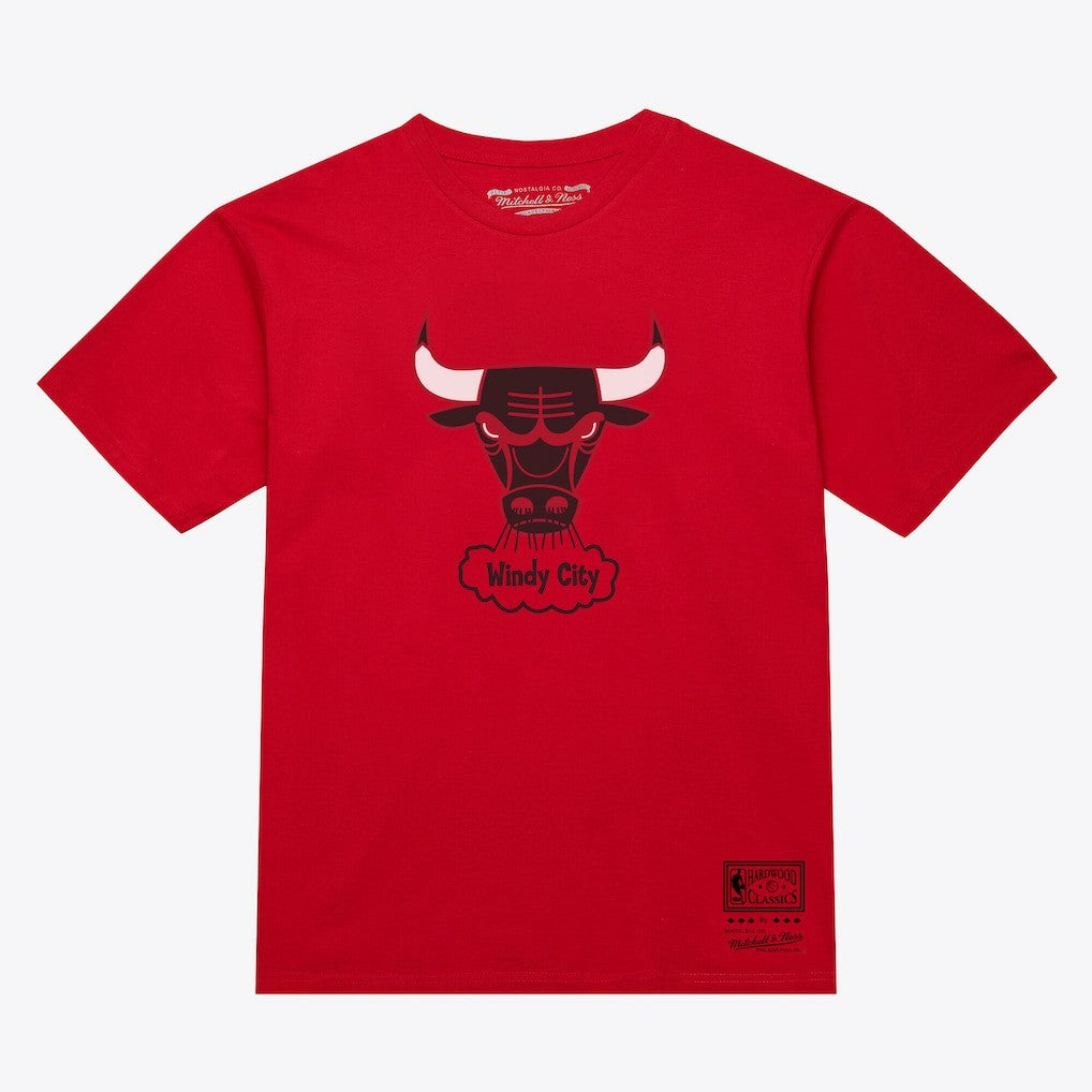 Chicago Bulls Unisex Hardwood Classics Arch T-Shirt Red