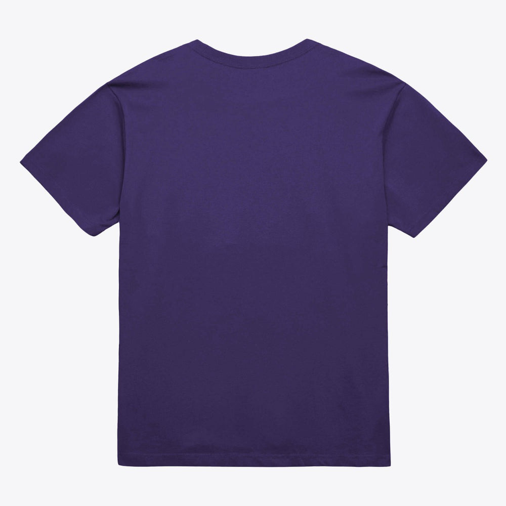 Phoenix Suns Unisex Hardwood Classics Arch T-Shirt Purple