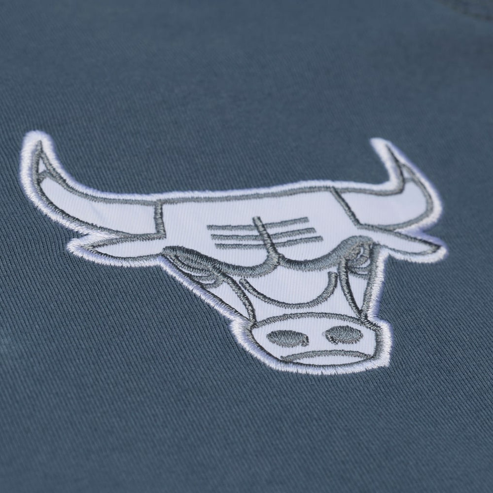 Chicago Bulls Thunderstorm T-Shirt Blue