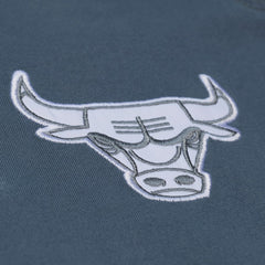 Chicago Bulls Thunderstorm T-Shirt Blue