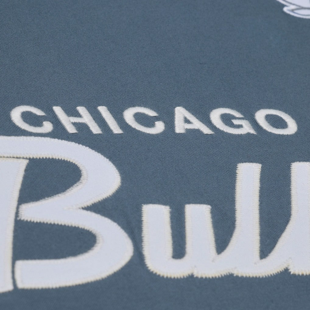 Chicago Bulls Thunderstorm T-Shirt Blue