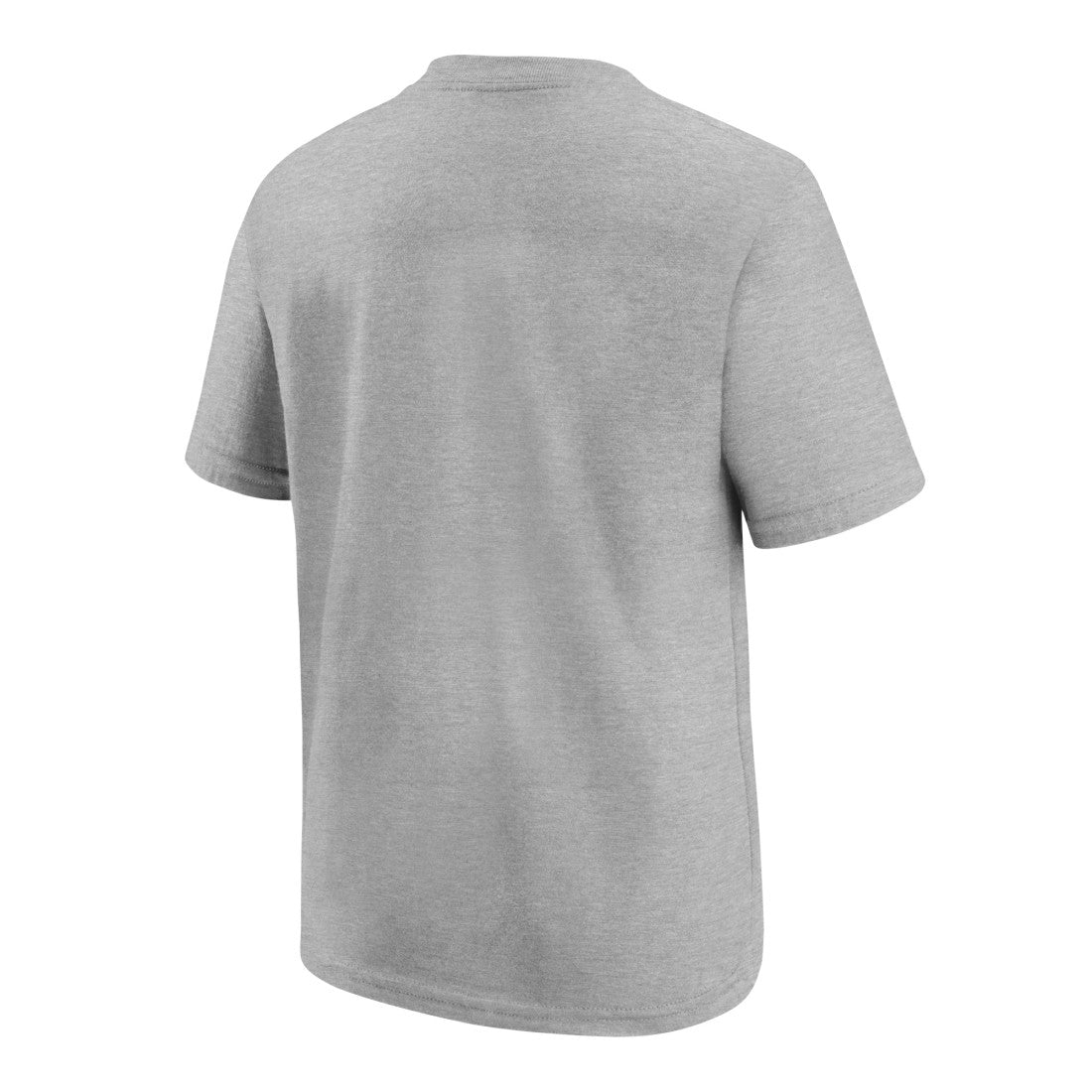 Seattle Seahawks Youth 2025 NFC Champions Locker Room Trophy Collection Authentic T-Shirt Gray