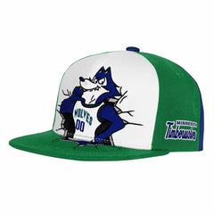 Minnesota Timberwolves Youth Mascot Snapback Hat Green