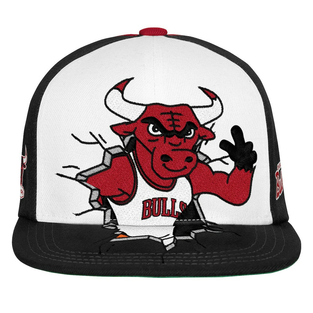 Chicago Bulls Youth Mascot Snapback Hat Black