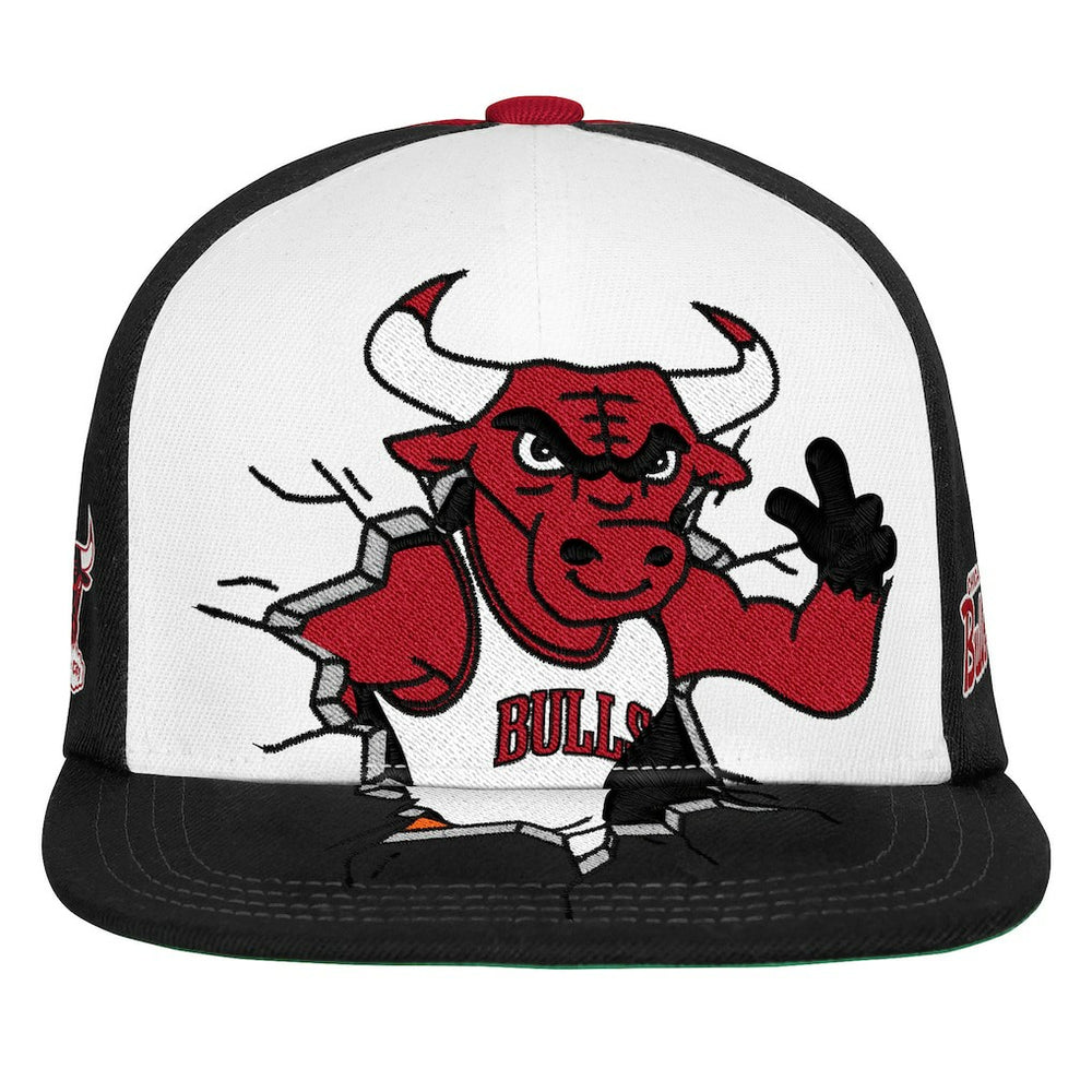 Chicago Bulls Youth Mascot Snapback Hat Black