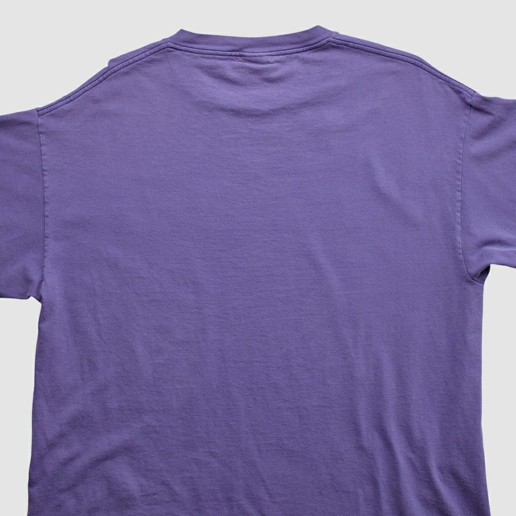 Minnesota Vikings Lee Apparel 2000s T-shirt Purple Vintage