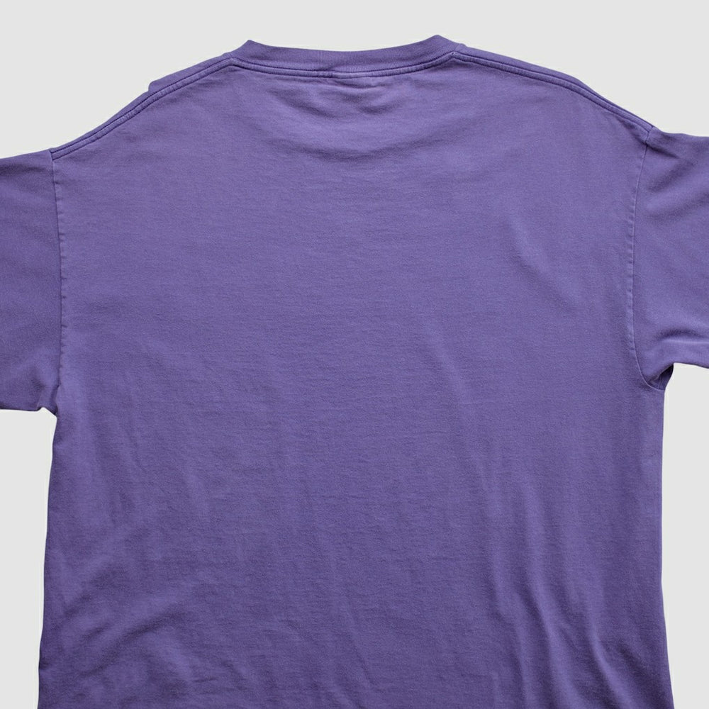 Minnesota Vikings Lee Apparel 2000s T-shirt Purple Vintage