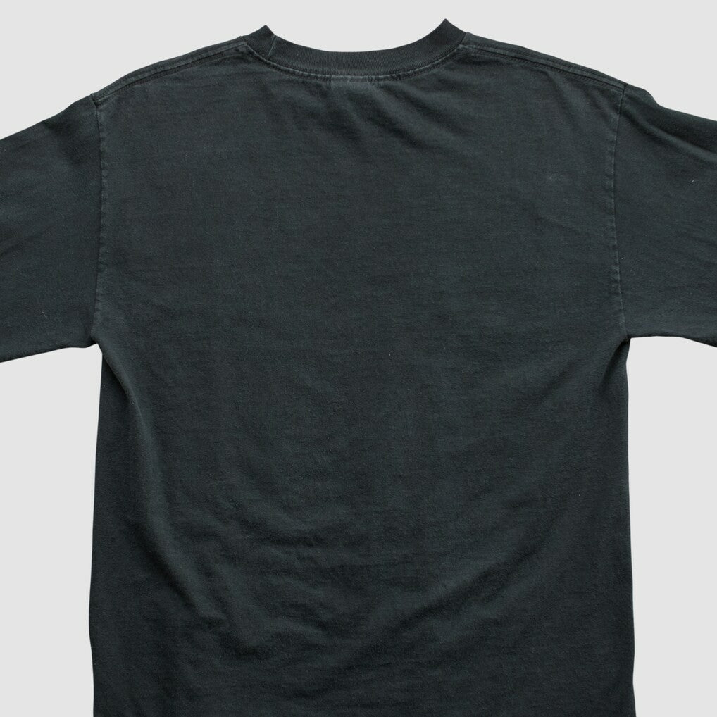 Pittsburgh Steelers Alstyle 2006 Long Sleeve T-shirt Black Vintage