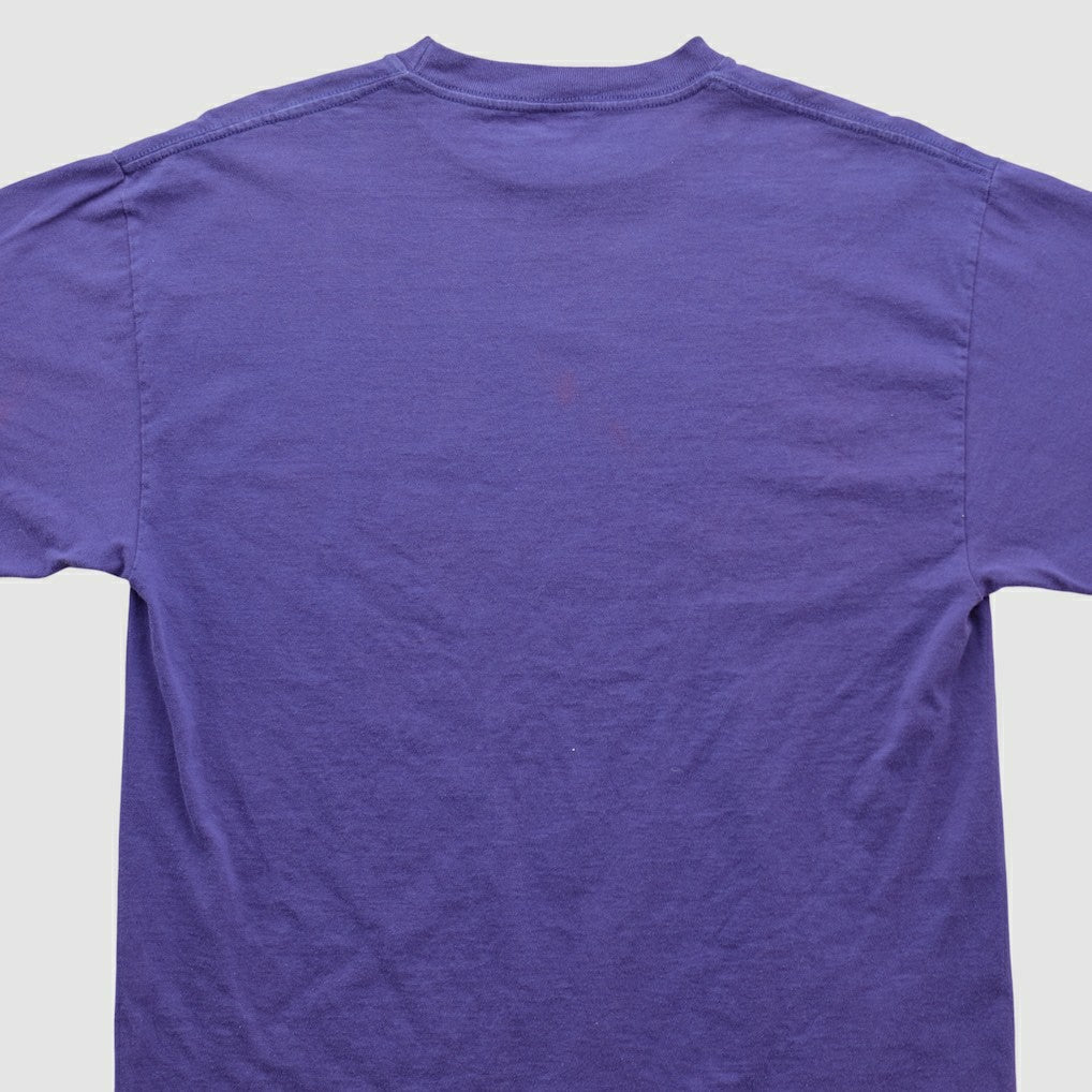 Minnesota Vikings Tultex 90s T-shirt Purple Vintage
