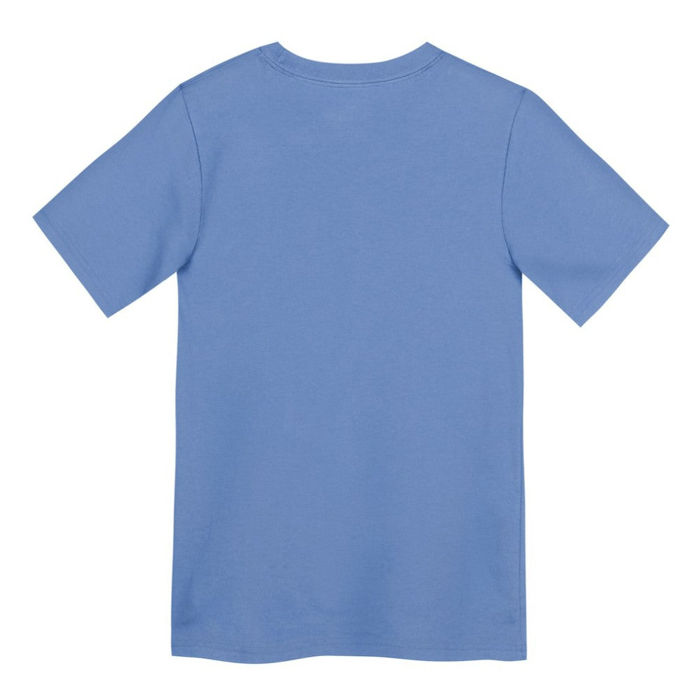 Chicago Cubs Nike Preschool Electric Bear Alternate T-Shirt - Light Blue T-shirts